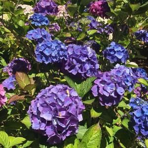 Meet your Posher, Tamara